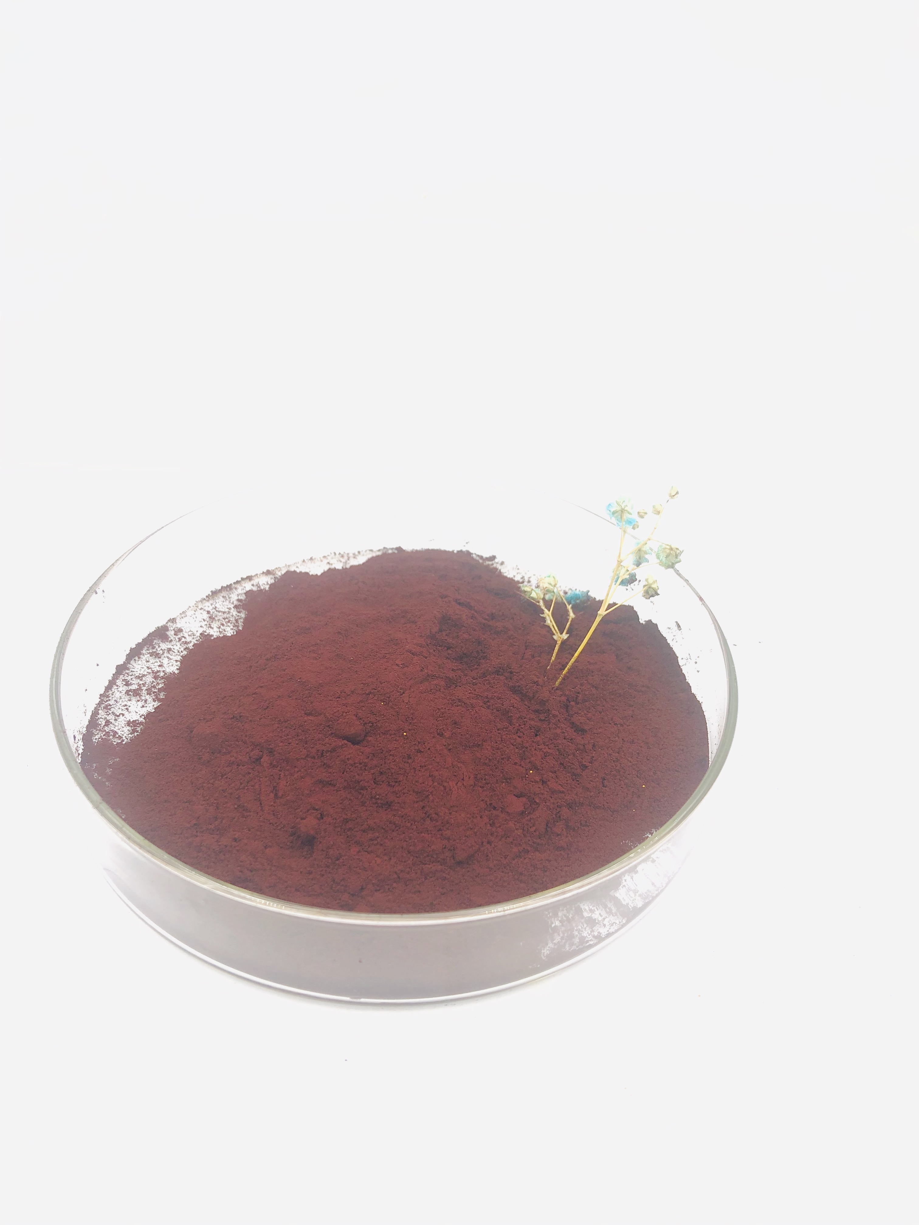 Violet Pigment Good Chemical Resistance And High Quality for Powder Coating 